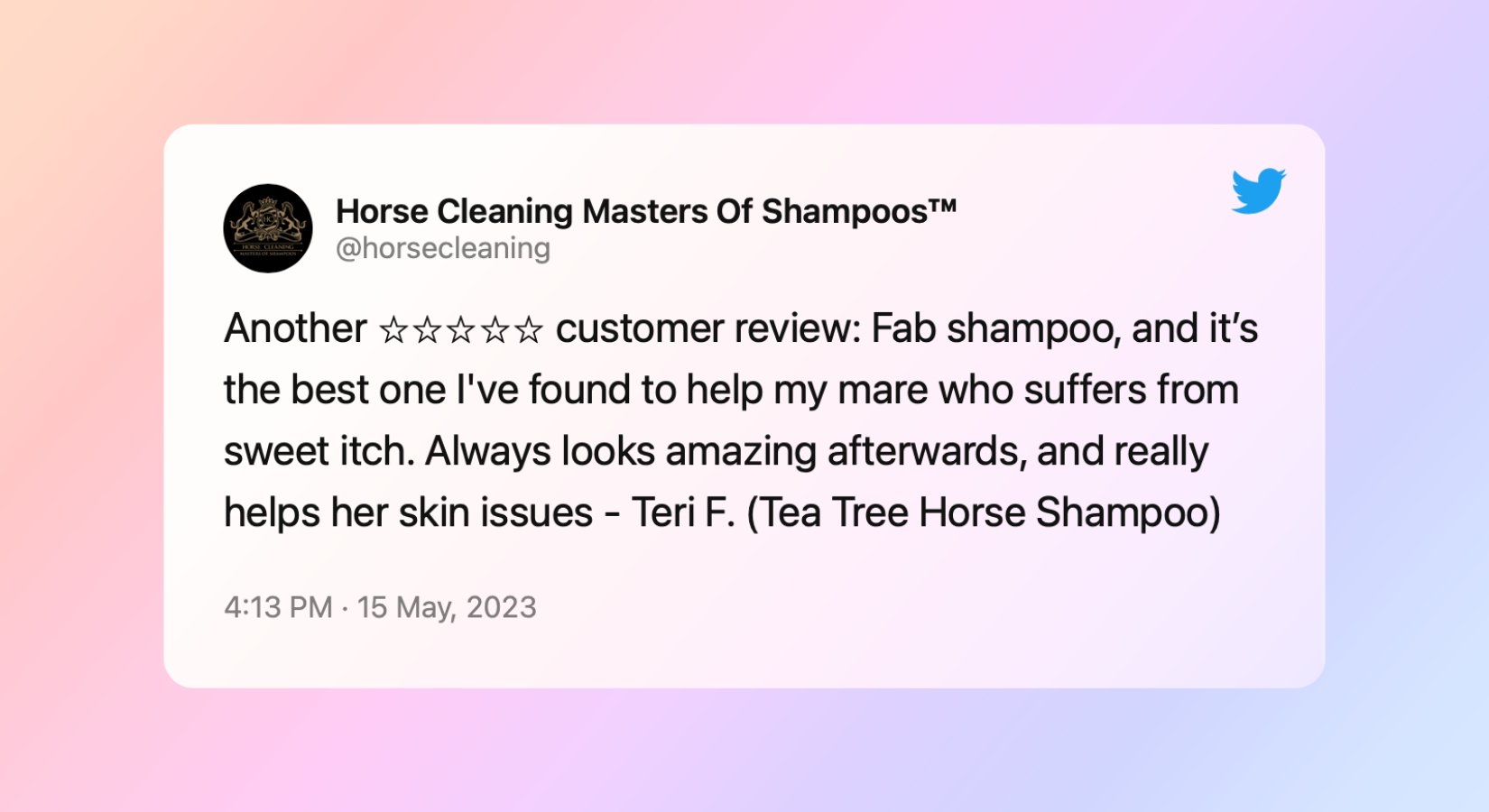 Alleviating Sweet Itch: A Success Story with Our Tea Tree Horse Shampoo - Horse Cleaning Masters Of Shampoos ™
