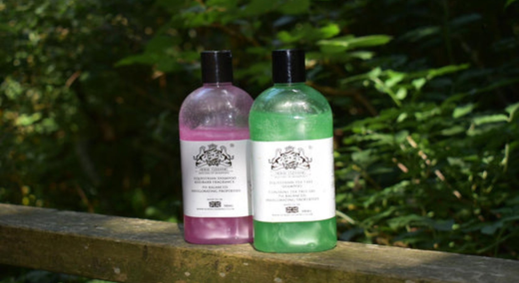 Introducing the Horse Cleaning Money Back Guarantee: Your Satisfaction is Our Top Priority - Horse Cleaning Masters Of Shampoos ™