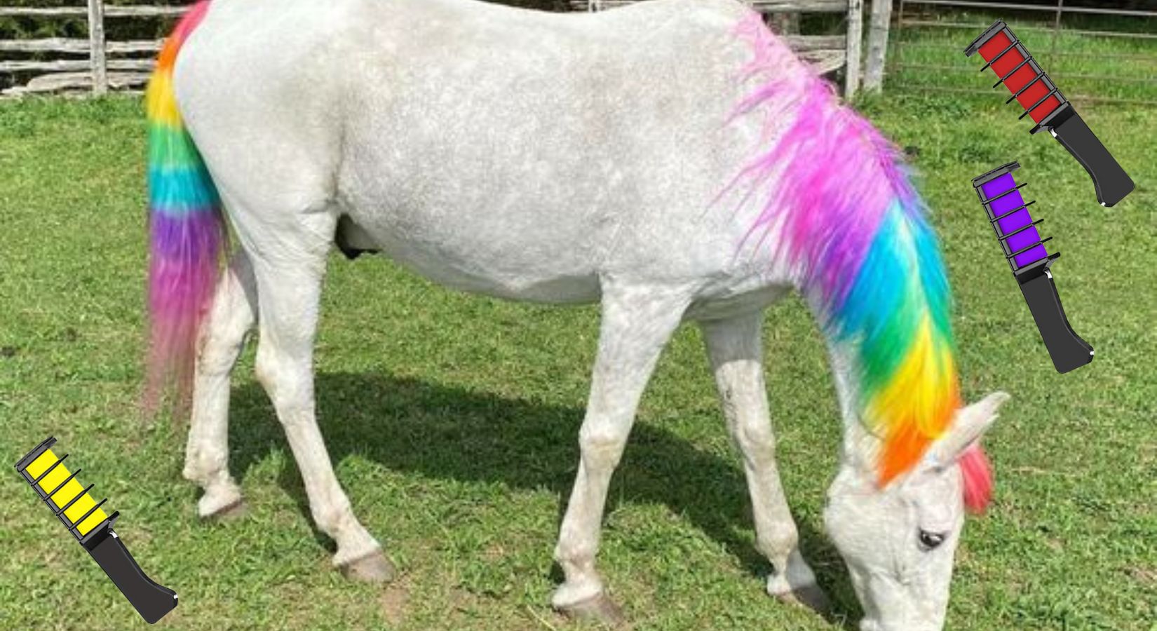 Introducing the Magical Unicorn Mane and Tail Chalk Comb Set: The Ultimate Equine Transformation - Horse Cleaning Masters Of Shampoos ™