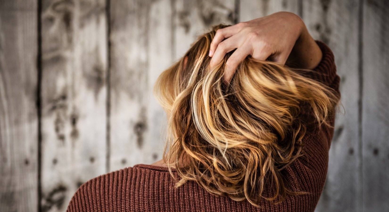 Is Horse Shampoo Good for Human Hair? - Horse Cleaning Masters Of Shampoos ™