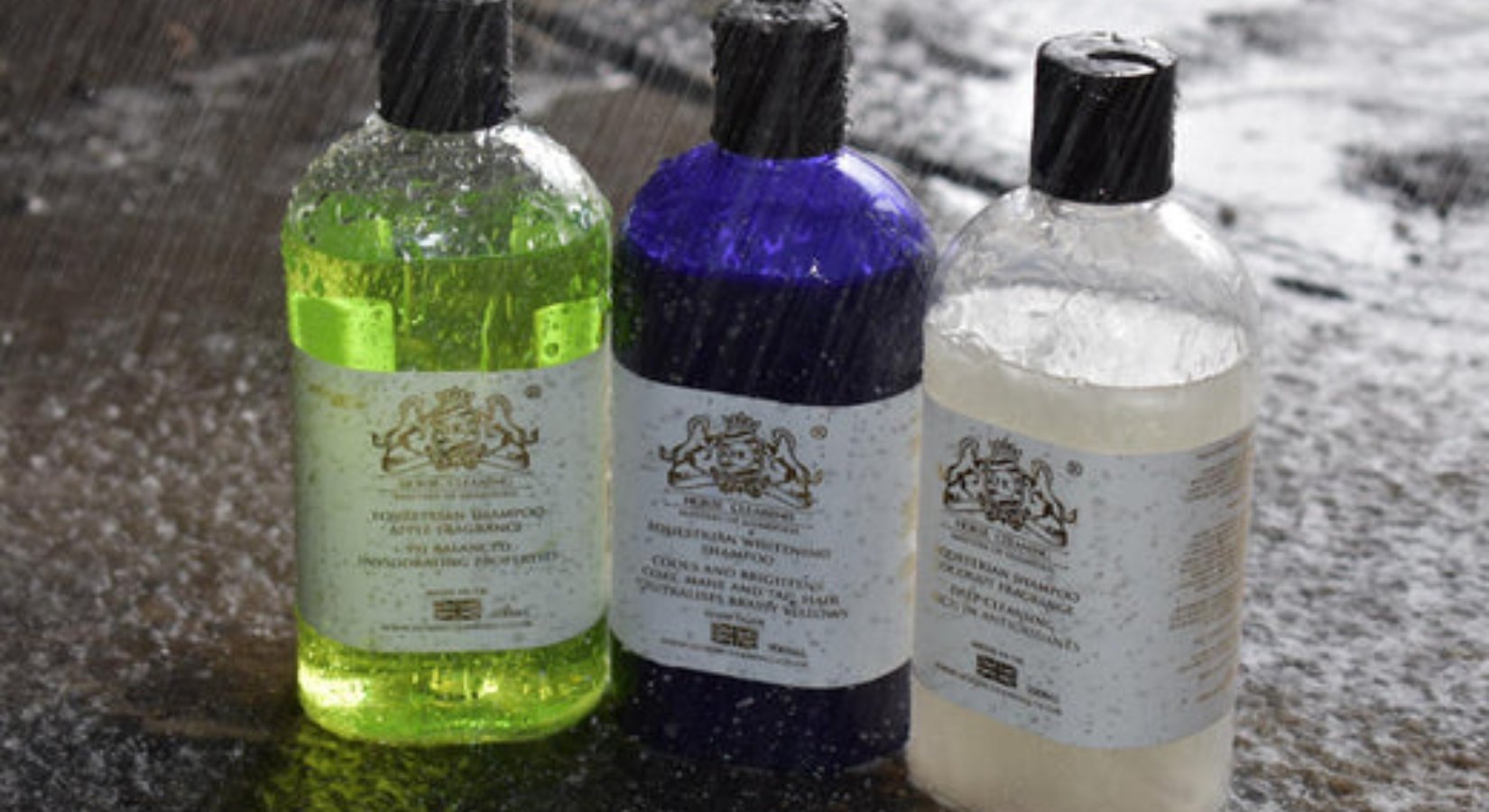 Our Vision And Mission At Horse Cleaning: Revolutionising The Equestrian Cleaning Industry - Horse Cleaning Masters Of Shampoos ™
