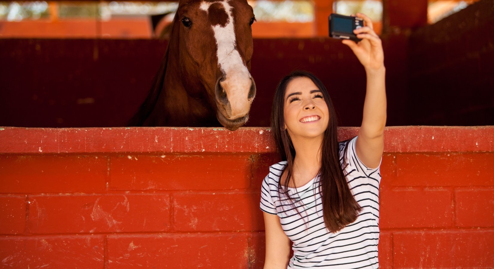 Becoming an Equestrian Brand Ambassador: Your Questions Answered - Horse Cleaning Masters Of Shampoos ™
