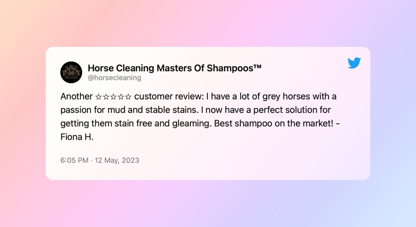 Conquering Mud and Stable Stains: A Gleaming Success Story - Horse Cleaning Masters Of Shampoos ™
