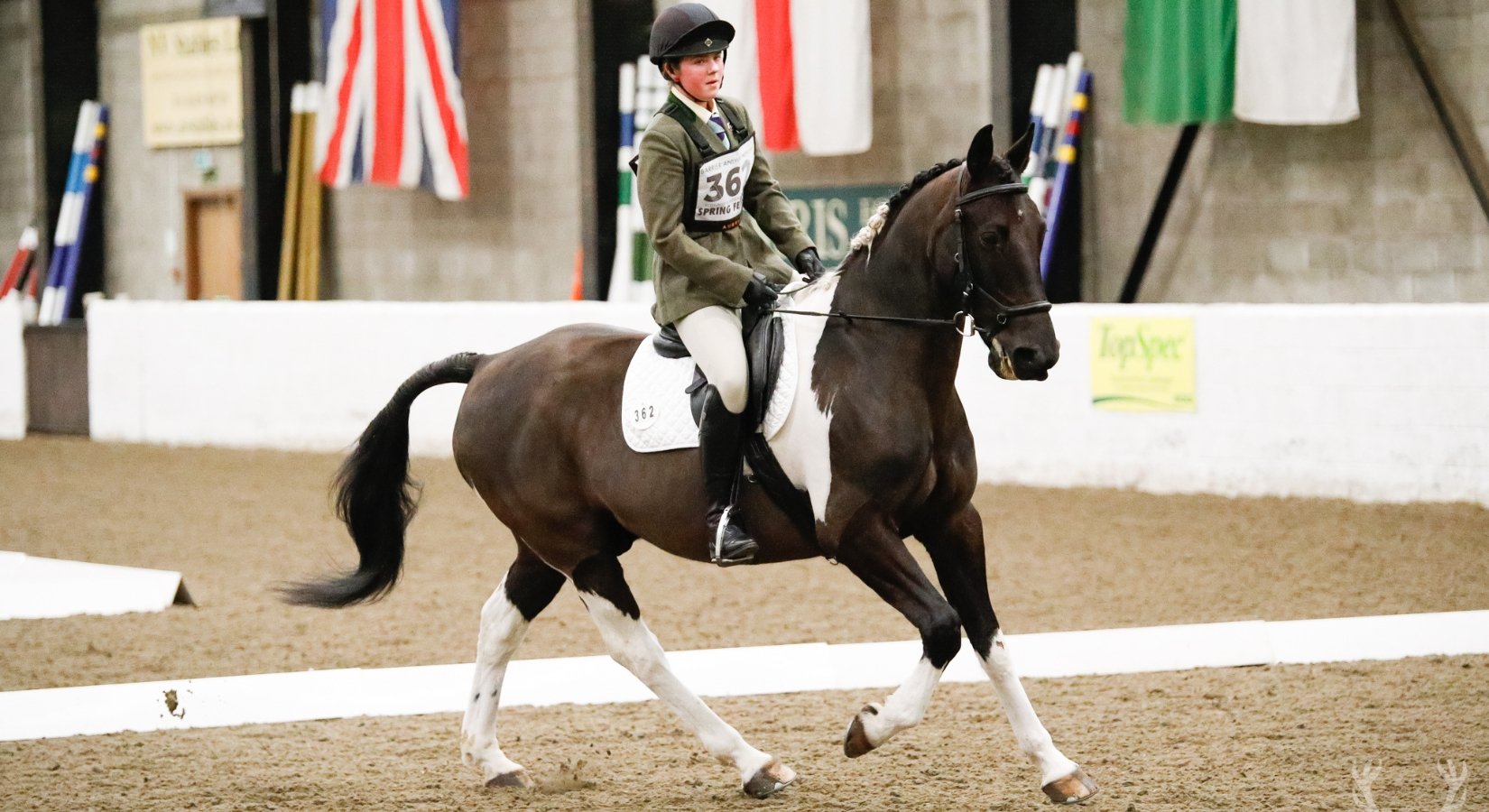 New Brand Ambassador Poppy Campbell - Horse Cleaning Masters Of Shampoos ™