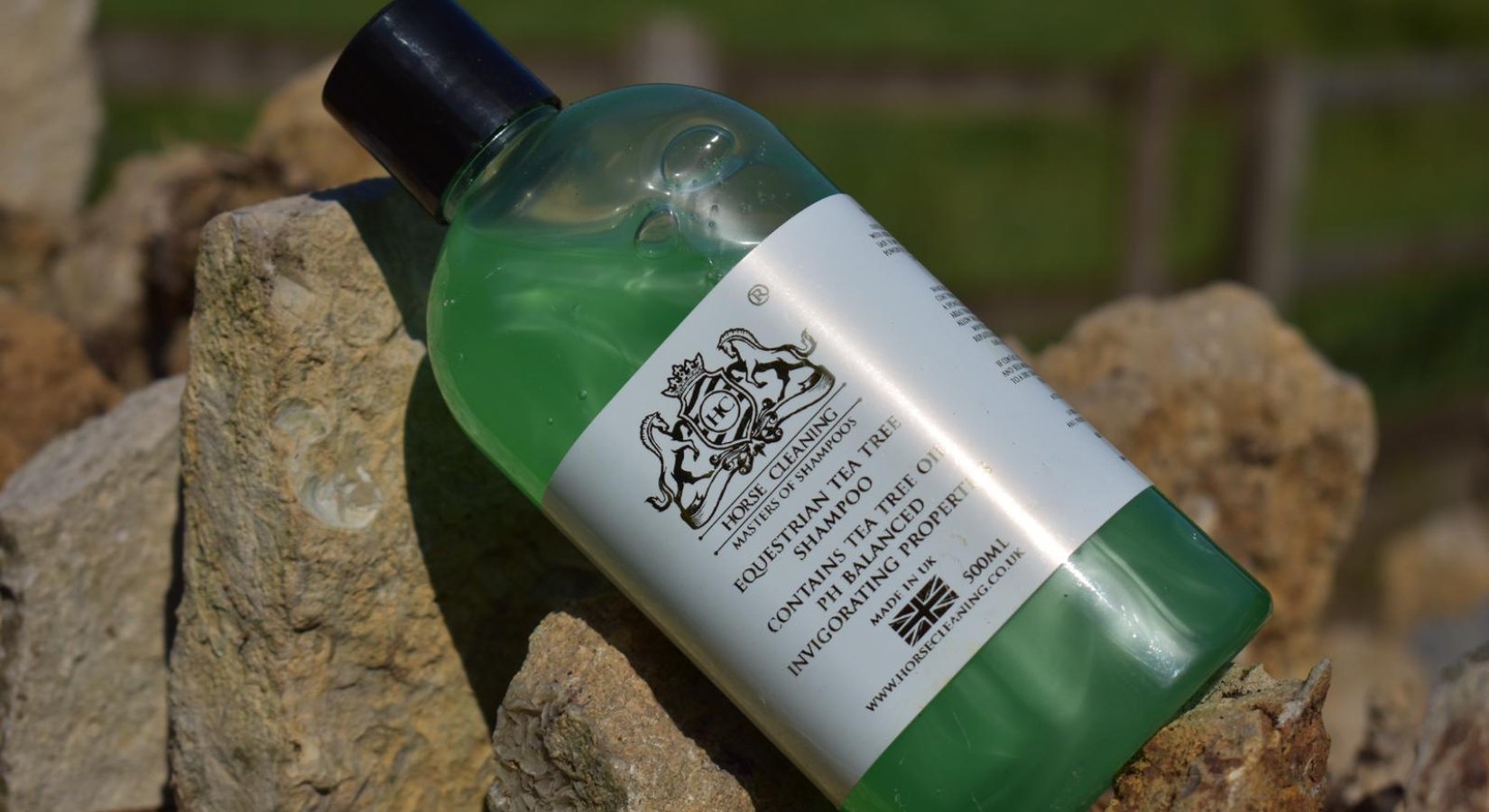 The Benefits of Tea Tree Oil in Horse Shampoo - Horse Cleaning Masters Of Shampoos ™