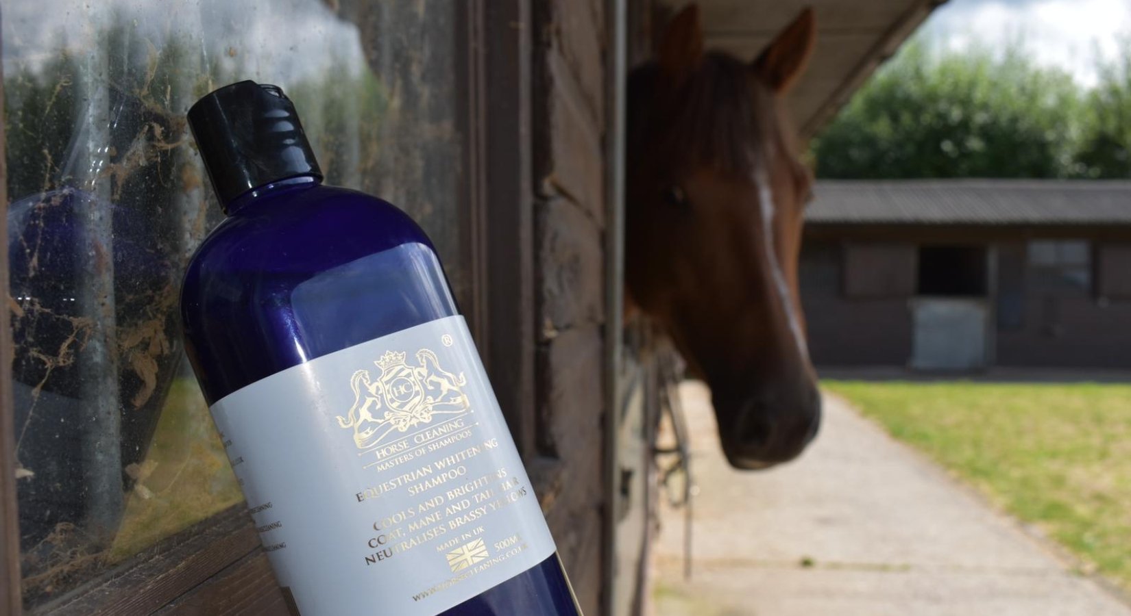 The Benefits of Whitening Horse Shampoos - Horse Cleaning Masters Of Shampoos ™