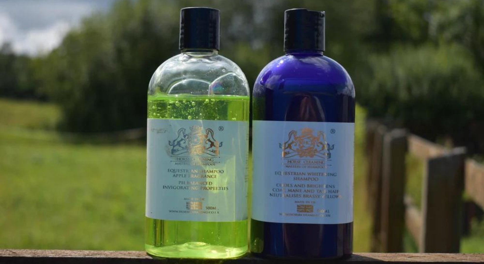 The History Of Horse Shampoos: From Ancient Times To Now - Horse Cleaning Masters Of Shampoos ™
