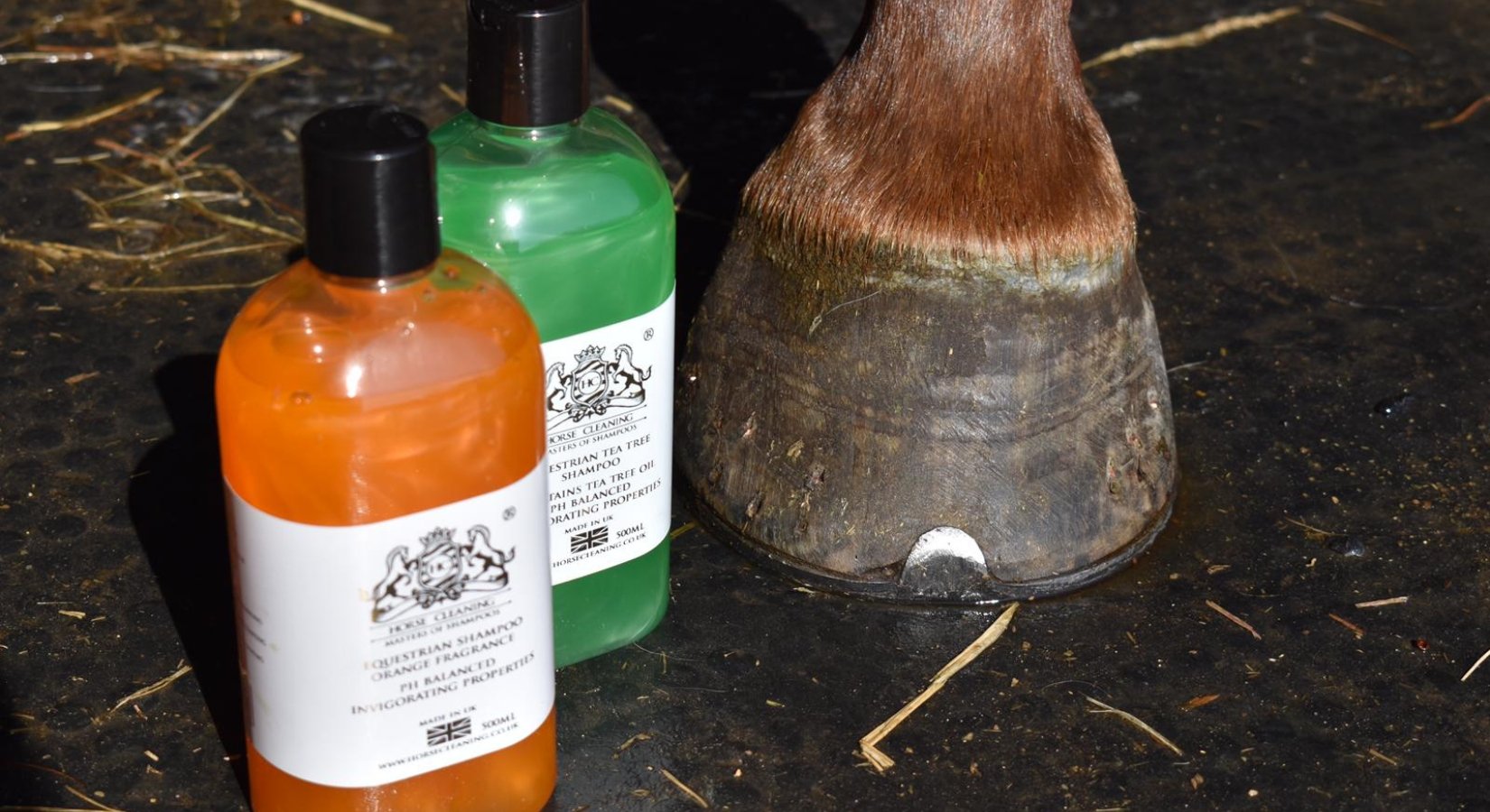 The Importance of Choosing the Right Shampoo for Your Horse - Horse Cleaning Masters Of Shampoos ™