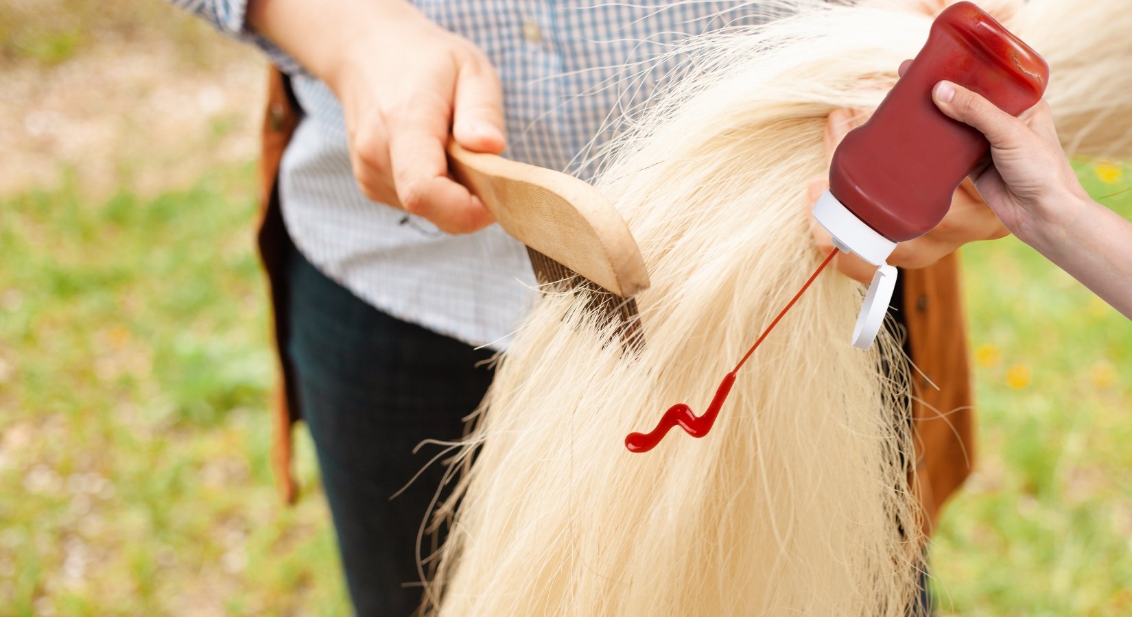 The Mysterious Case of Tomato Ketchup and Horse Tails: Fact or Fiction? - Horse Cleaning Masters Of Shampoos ™