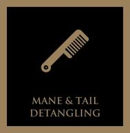 Horse Mane And Tail Detangling - Horse Cleaning Masters Of Shampoos ™
