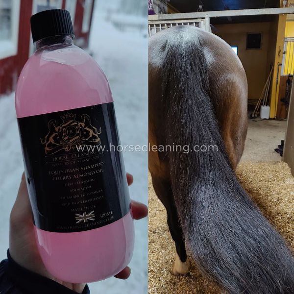 Cherry Almond Horse Shampoo - Horse Cleaning Masters Of Shampoos ™