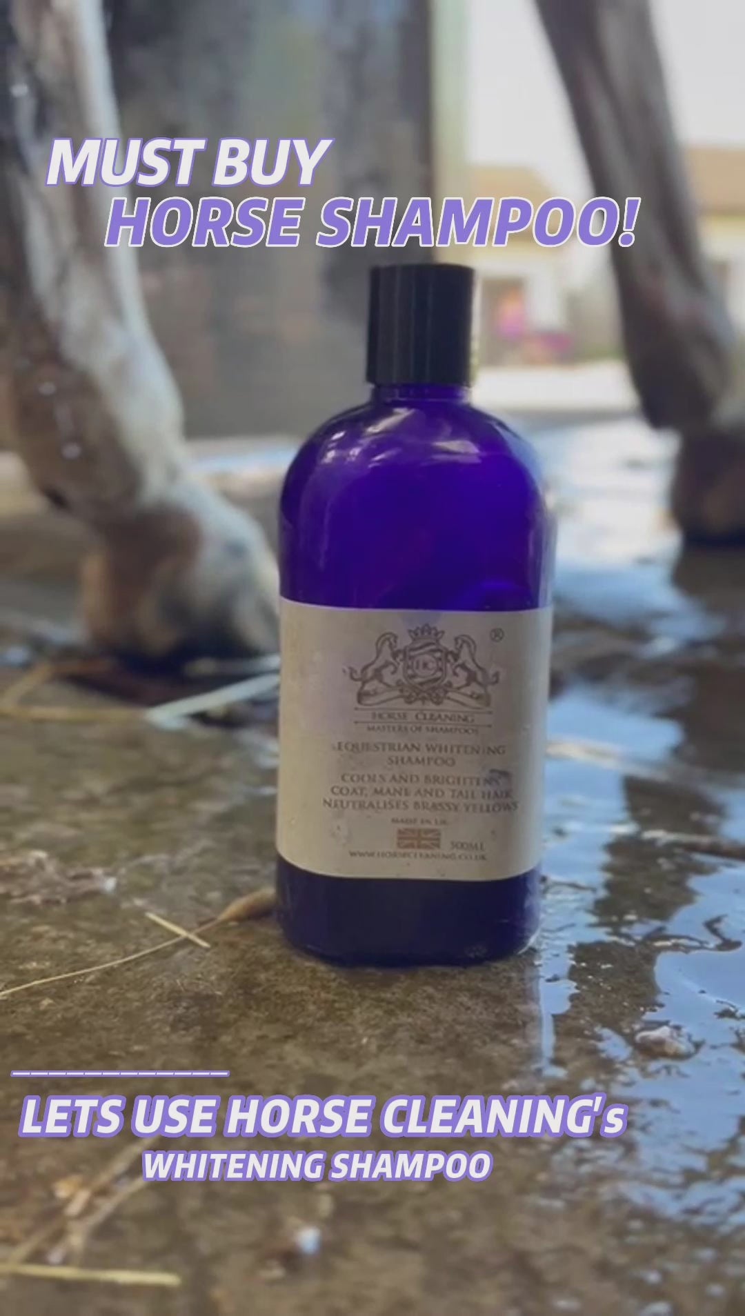 Whitening Horse Shampoo - Horse Cleaning Masters Of Shampoos ™
