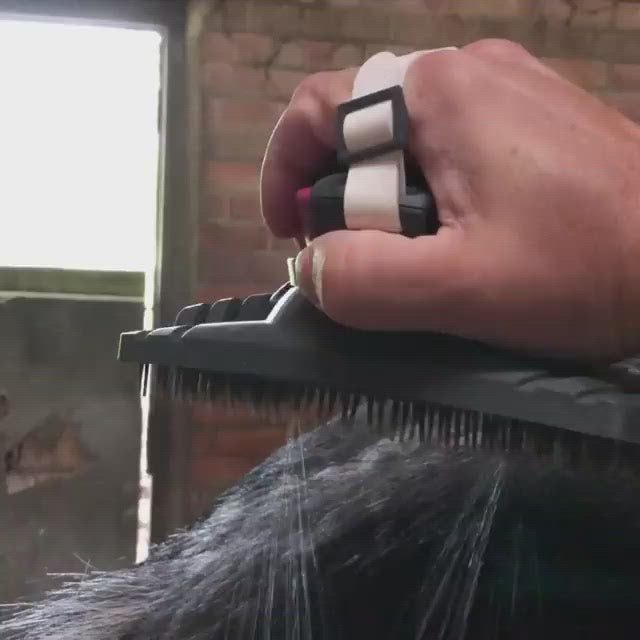 2-in-1 Spray And Detangler Grooming Brush