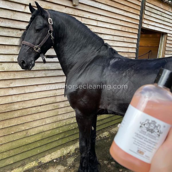 Cherry Almond Horse Shampoo 5L Container - Horse Cleaning Masters Of Shampoos ™