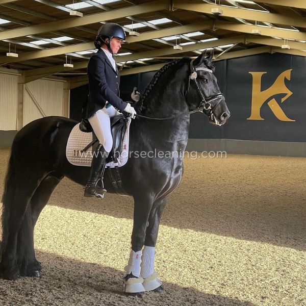 Cherry Almond Horse Shampoo - Horse Cleaning Masters Of Shampoos ™