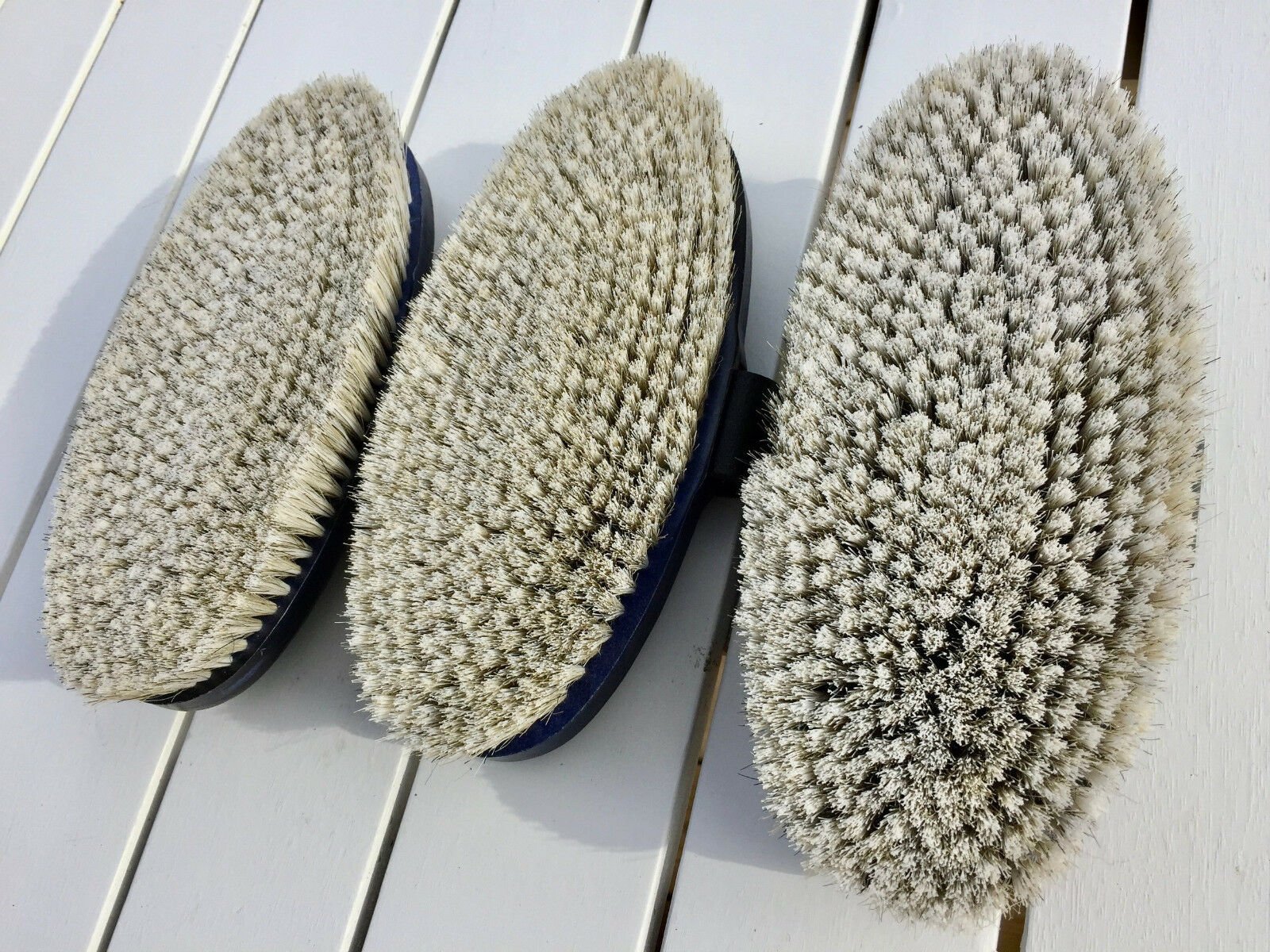 HAAS Fellglanz Soft White Horse Hair Body Brush - Horse Cleaning Masters Of Shampoos ™