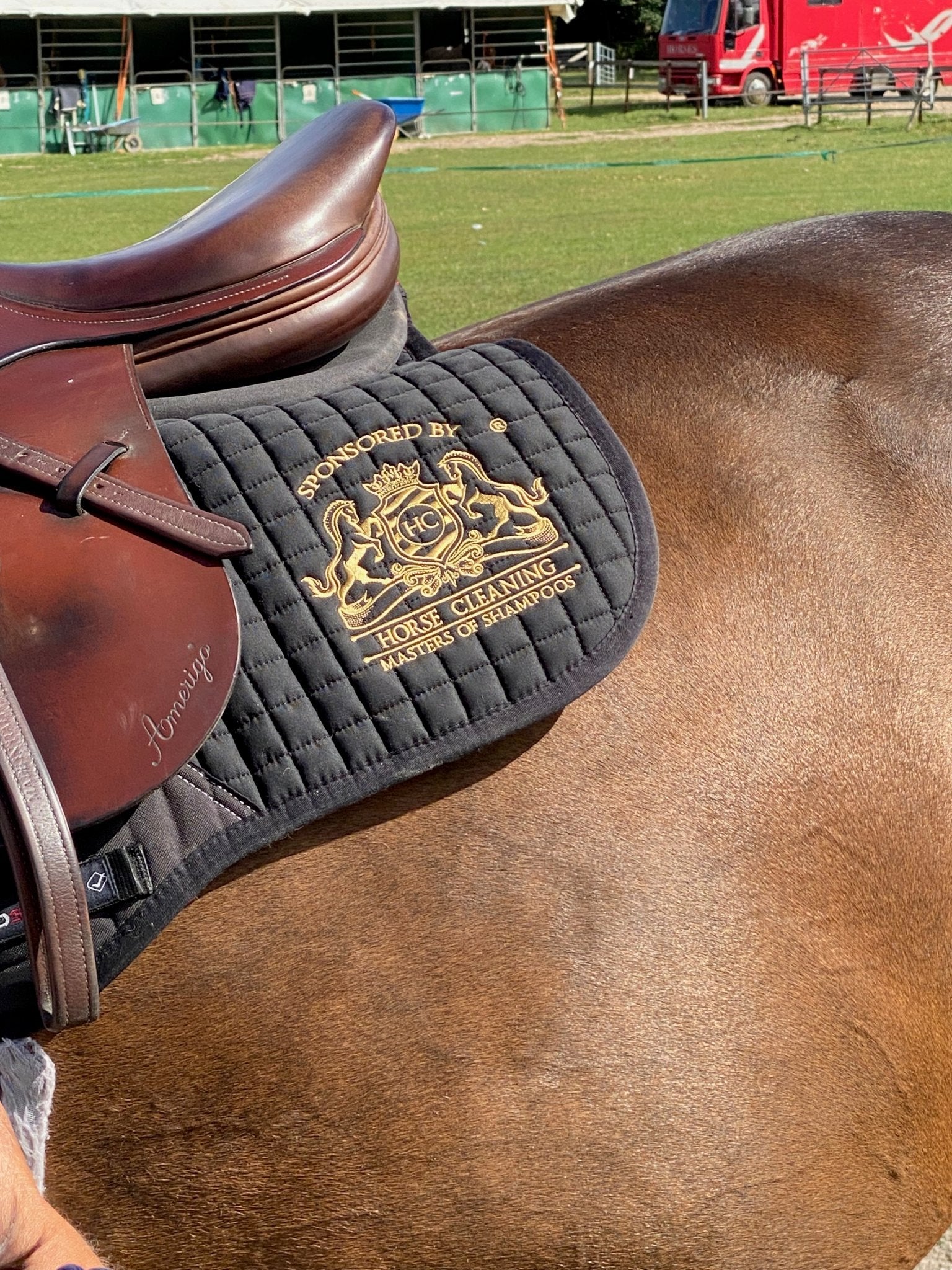 Horse Cleaning ProSport Black Close Contact Saddle Pad - Horse Cleaning Masters Of Shampoos ™