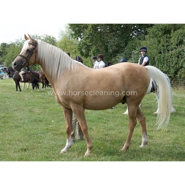 Horse Mane And Tail Detangler - Horse Cleaning Masters Of Shampoos ™