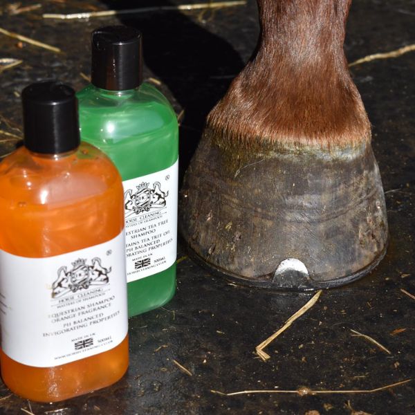 Orange Horse Shampoo - Horse Cleaning Masters Of Shampoos ™