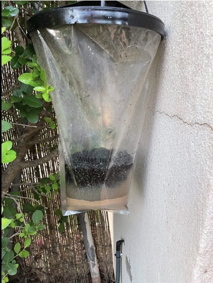 Outdoor Fly Trap - Horse Cleaning Masters Of Shampoos ™