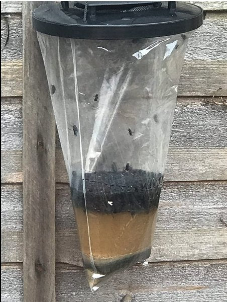 Outdoor Fly Trap - Horse Cleaning Masters Of Shampoos ™
