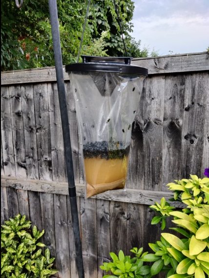 Outdoor Fly Trap - Horse Cleaning Masters Of Shampoos ™