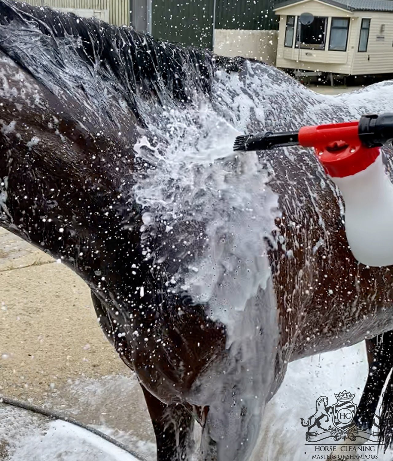 Shampoo Foamer - Horse Cleaning Masters Of Shampoos ™