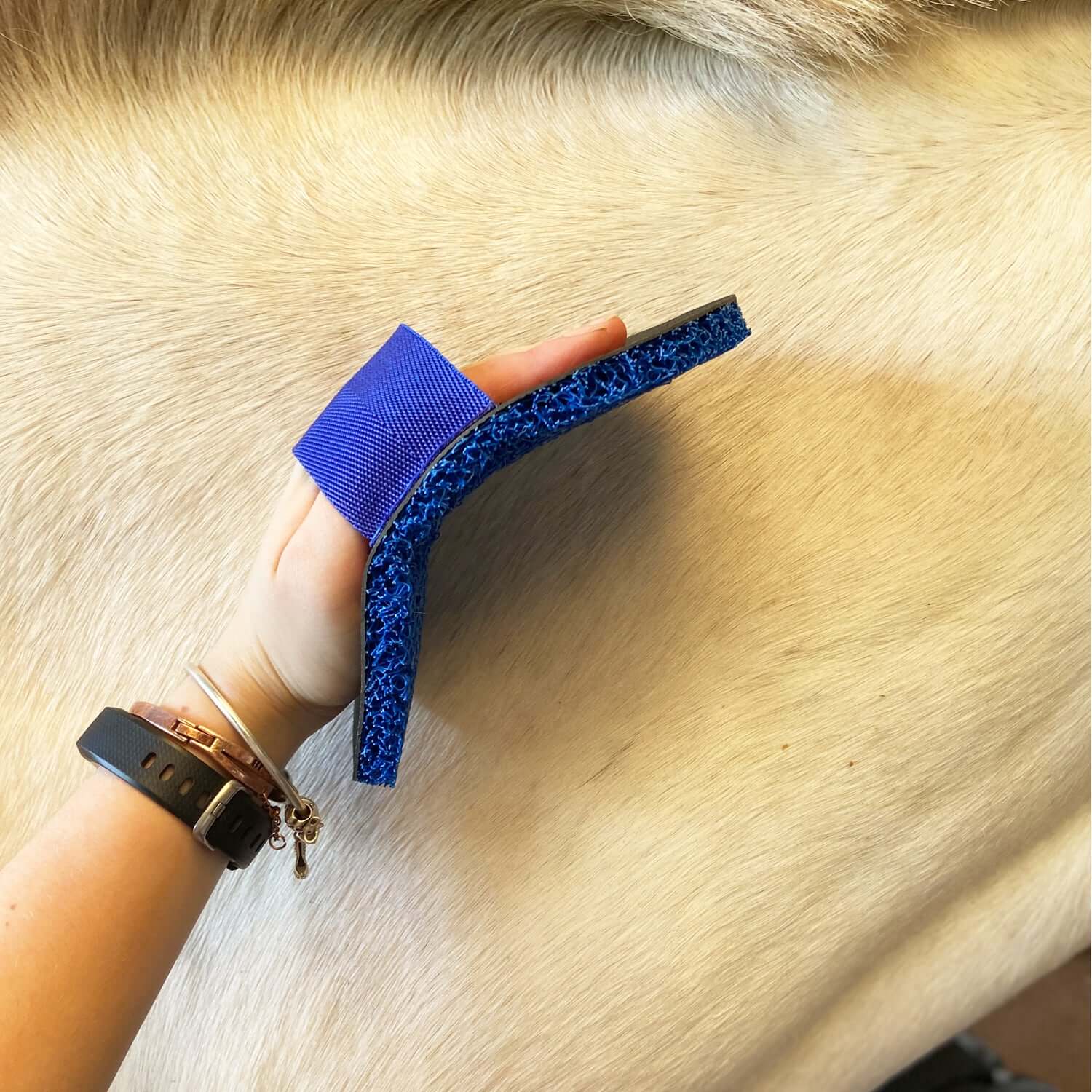 Super Groomer Deluxe Horse Multi-Purpose Sponge/Curry/Scrubber - Horse Cleaning Masters Of Shampoos ™