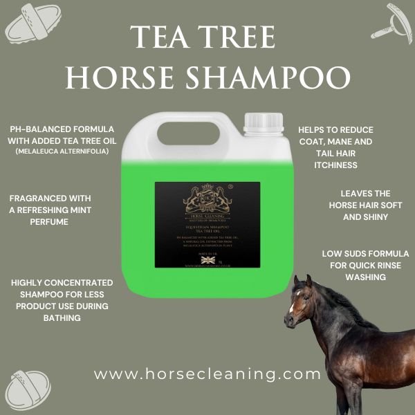 Tea Tree Horse Shampoo 5L Container - Horse Cleaning Masters Of Shampoos ™