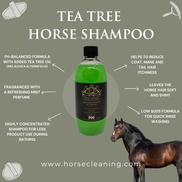 Tea Tree Horse Shampoo - Horse Cleaning Masters Of Shampoos ™