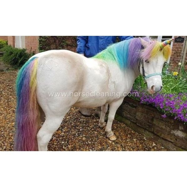Unicorn Mane And Tail Chalk Comb Set - Horse Cleaning Masters Of Shampoos ™