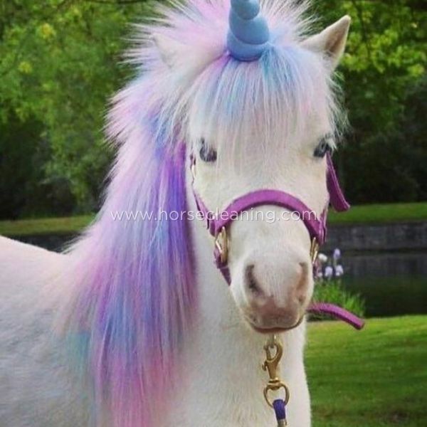 Unicorn Mane And Tail Chalk Comb Set - Horse Cleaning Masters Of Shampoos ™