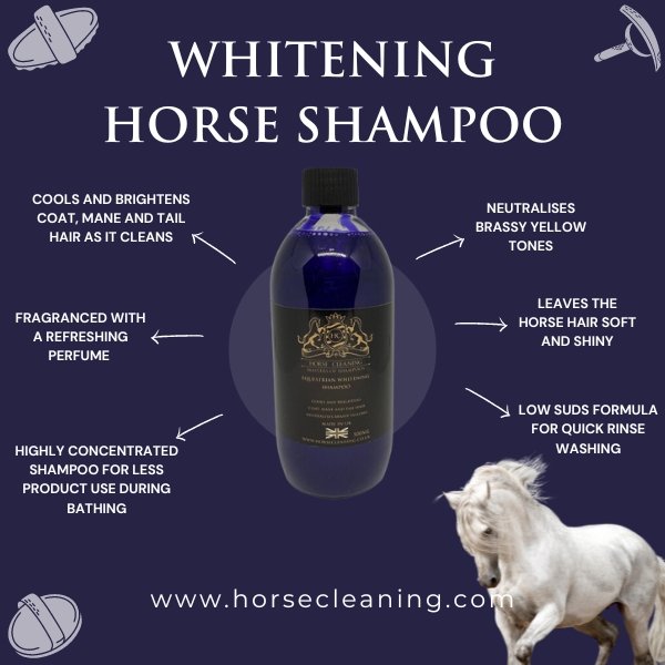 Whitening Horse Shampoo - Horse Cleaning Masters Of Shampoos ™