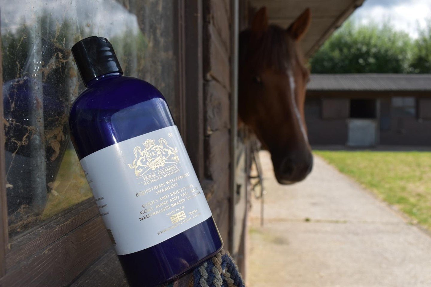 Whitening Horse Shampoo - Horse Cleaning Masters Of Shampoos ™