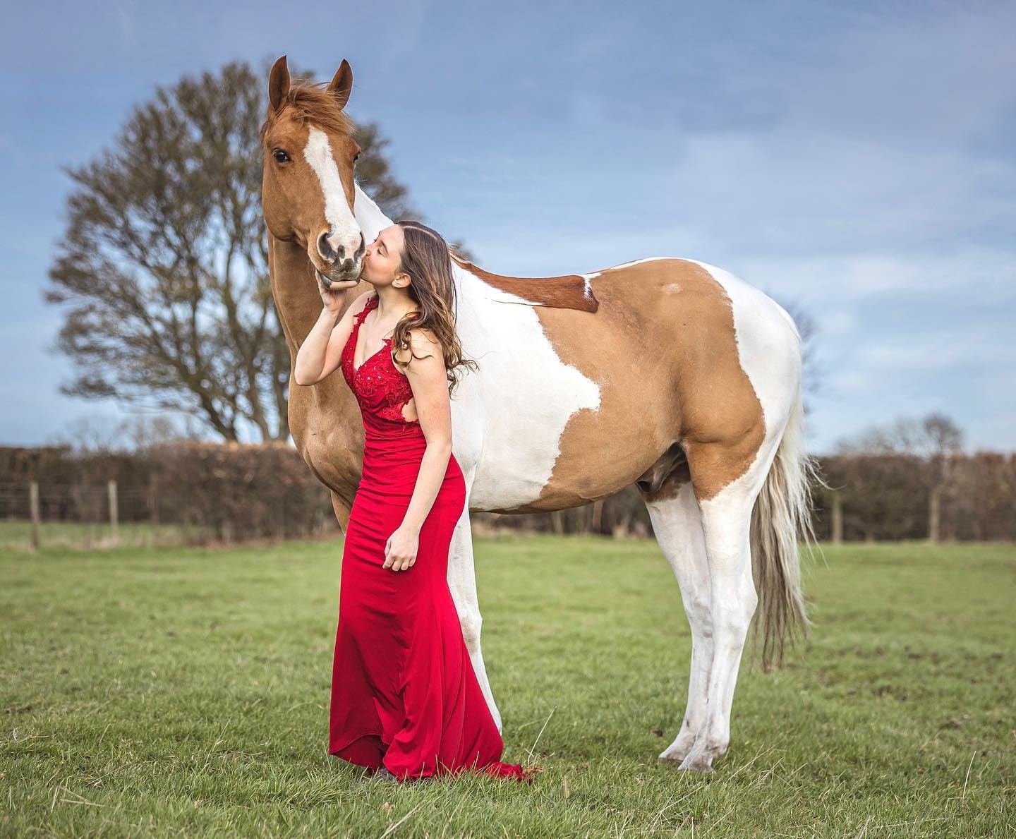 Whitening Horse Shampoo - Horse Cleaning Masters Of Shampoos ™
