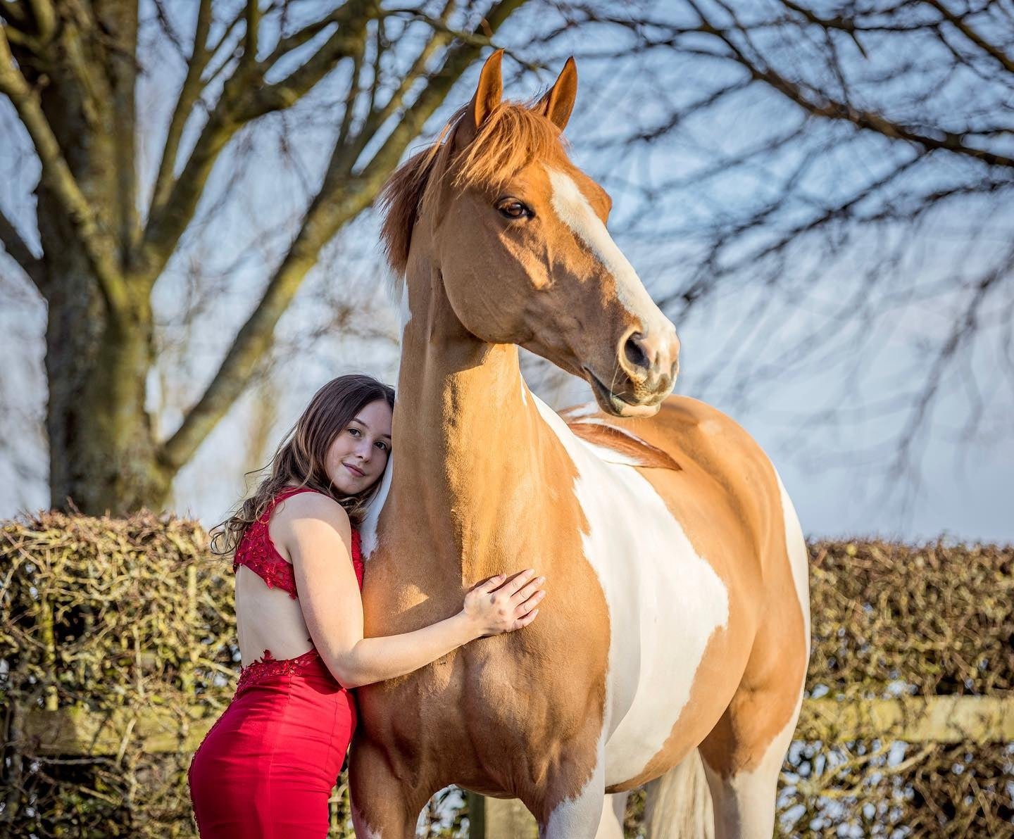 Whitening Horse Shampoo - Horse Cleaning Masters Of Shampoos ™